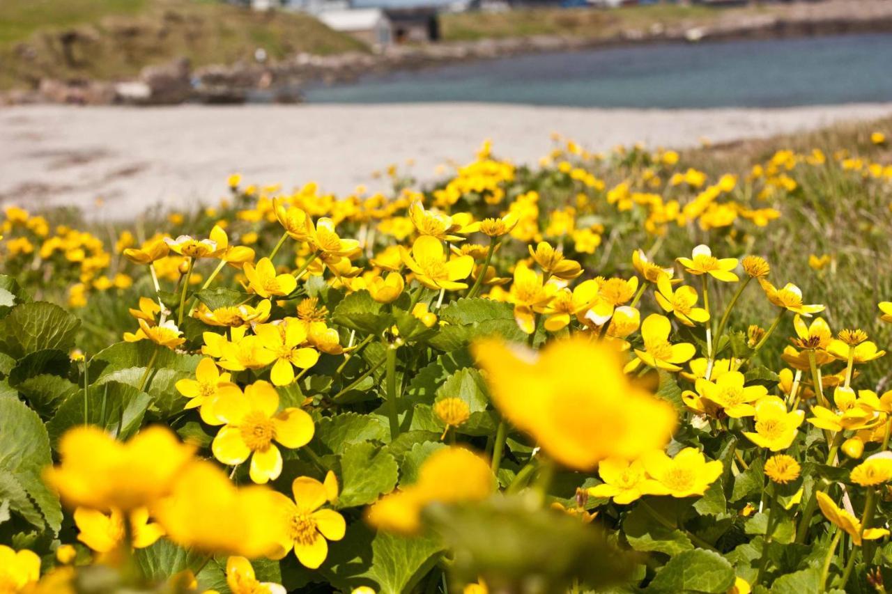 Cosy Apartment Near Beach, Marina & City Centre Tórshavn Екстериор снимка